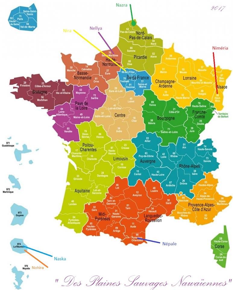 répartition des chiots 2017